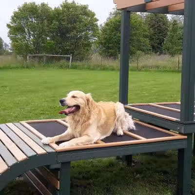 West Main Community and Bark Park - Batavia, IL