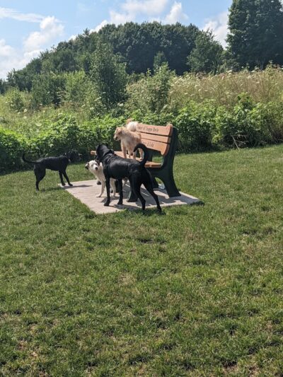 West Main Community and Bark Park - Batavia, IL