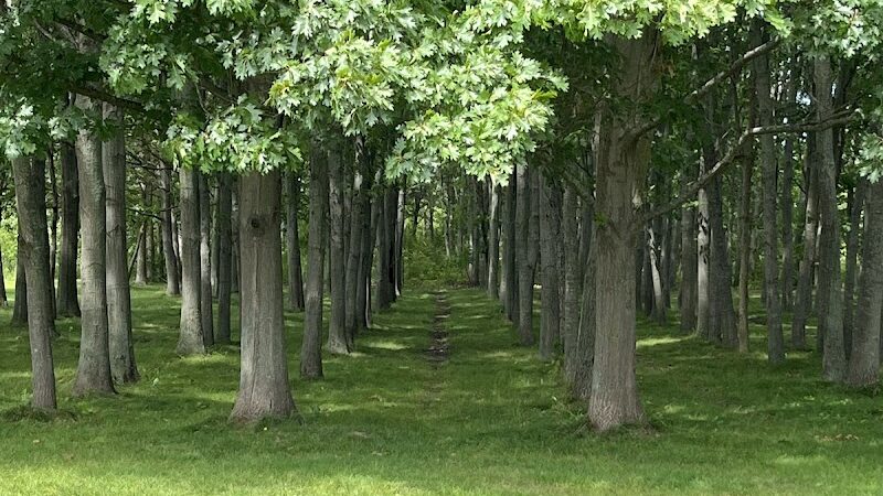 West Main Community and Bark Park - Batavia, IL