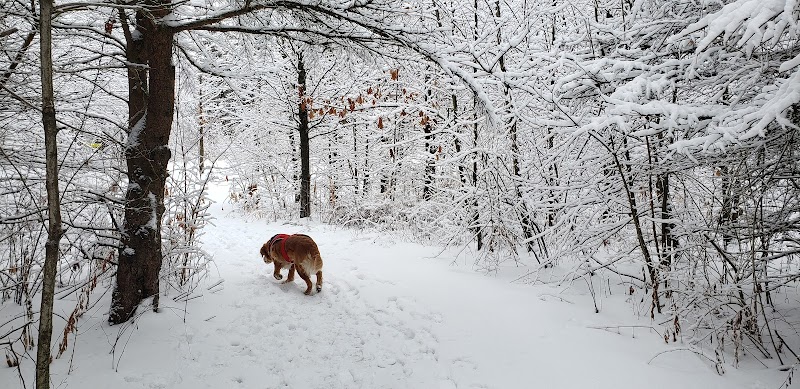 West Main Community and Bark Park - Batavia, IL