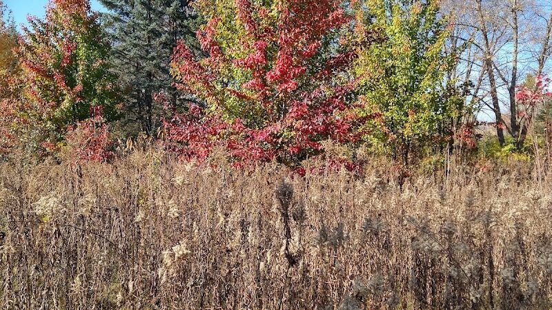 West Main Community and Bark Park - Batavia, IL