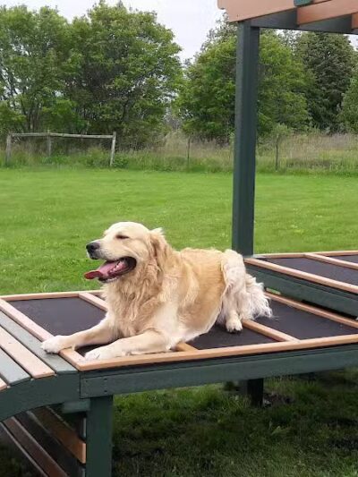 West Main Community and Bark Park - Batavia, IL