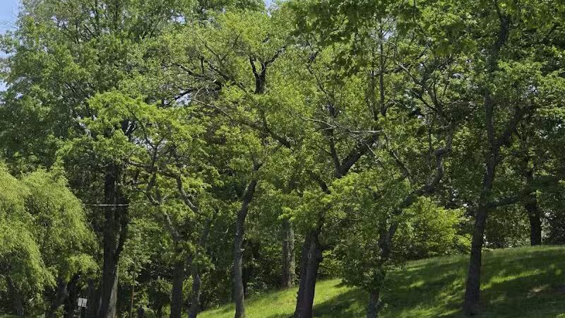 Bayonne Park - Bayonne, NJ