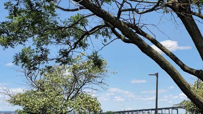 Bayonne Park - Bayonne, NJ