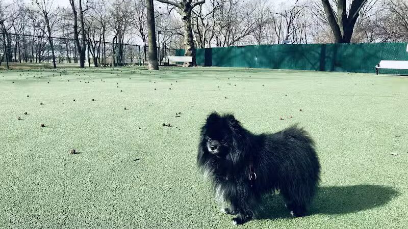 Dog Run - Bayonne, NJ