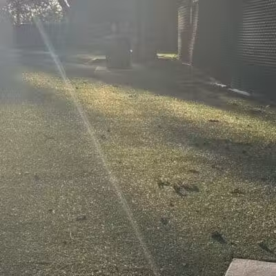 Dog Run - Bayonne, NJ