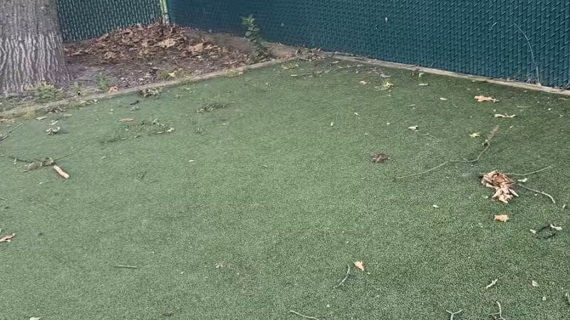 Dog Run - Bayonne, NJ