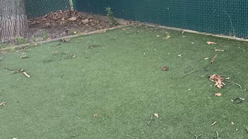 Dog Run - Bayonne, NJ