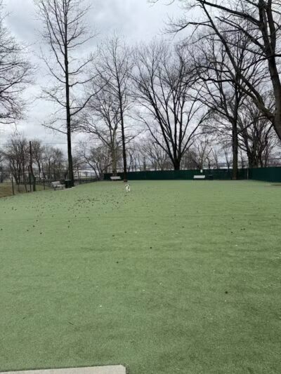 Dog Run - Bayonne, NJ