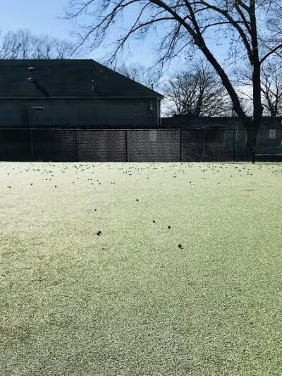 Dog Run - Bayonne, NJ