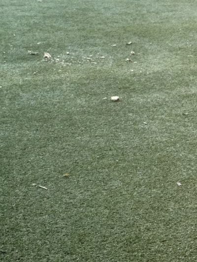 Dog Run - Bayonne, NJ