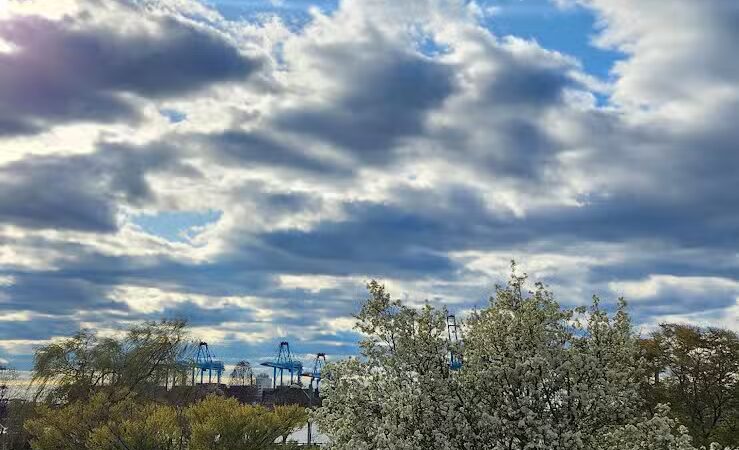 G. Thomas DiDomenico 16th Street Park - Bayonne, NJ