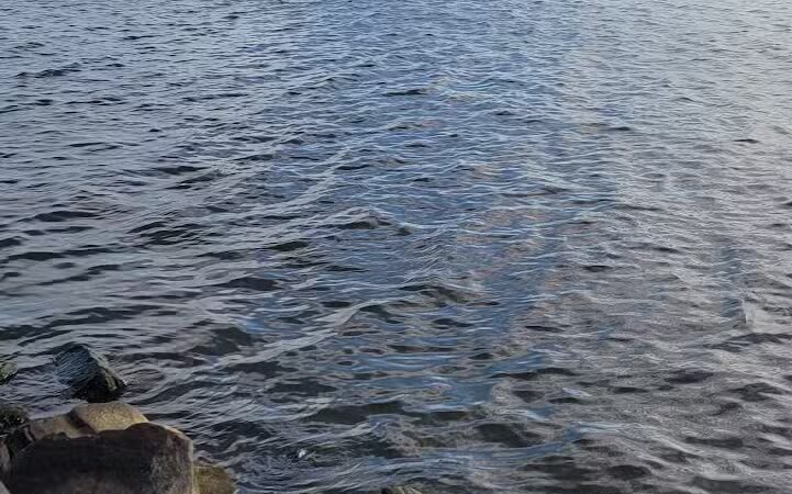 Hudson County Park - Quad East Field-Bayonne - Bayonne, NJ