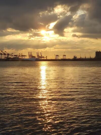 Hudson County Park - Quad East Field-Bayonne - Bayonne, NJ