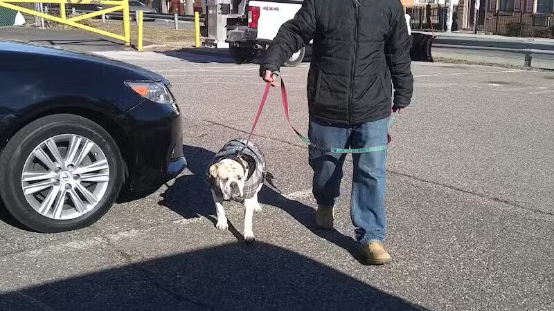 Mercer Park - Bayonne, NJ