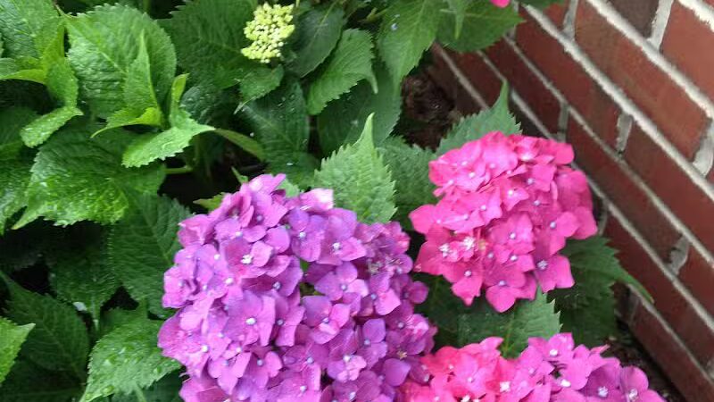 Mercer Park - Bayonne, NJ