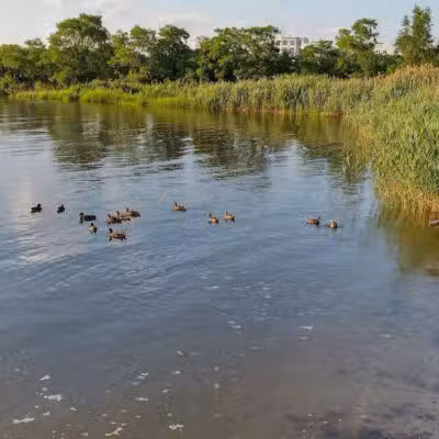 Richard A. Rutkowski Park - Bayonne, NJ