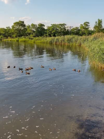 Richard A. Rutkowski Park - Bayonne, NJ