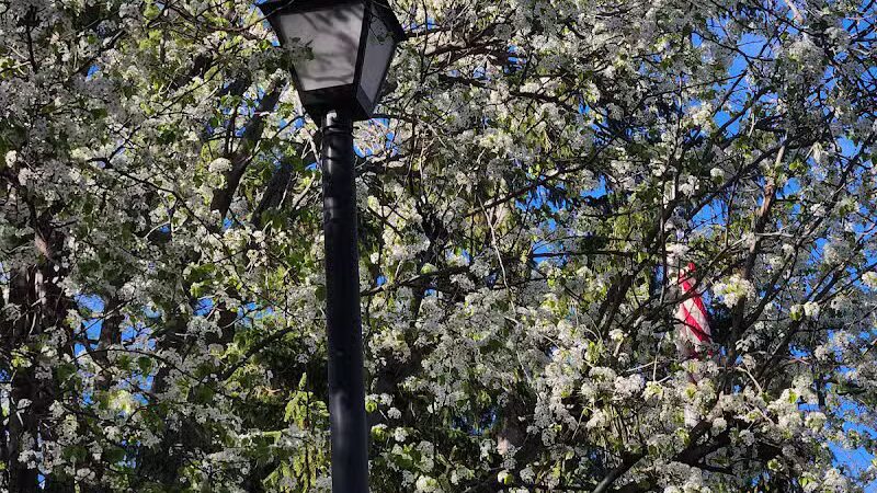 Sr. Miriam Theresa Park - Bayonne, NJ