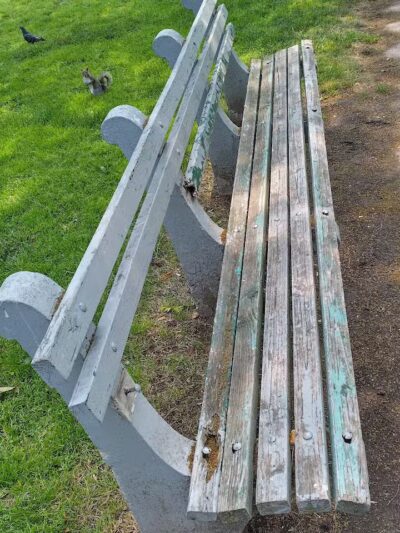 Sr. Miriam Theresa Park - Bayonne, NJ