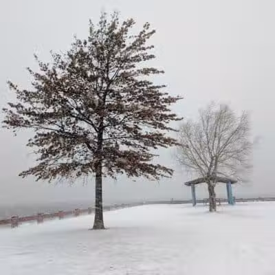 Veterans Park - Bayonne, NJ