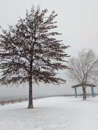 Veterans Park - Bayonne, NJ