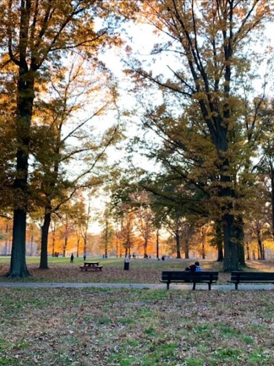 Springfield Playground - Bayside, NY