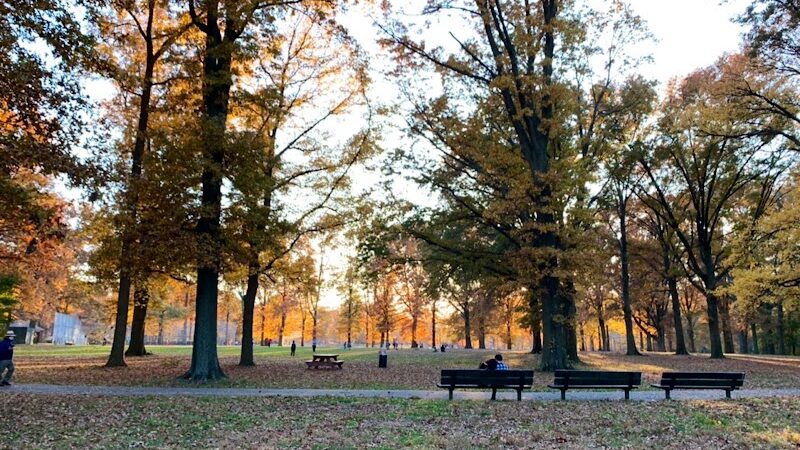 Springfield Playground - Bayside, NY