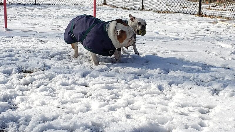Friends of Beacon Dog Park - Beacon, NY