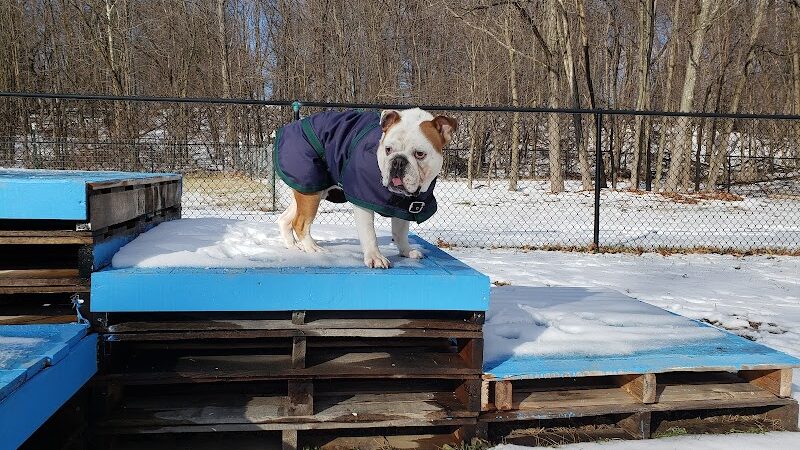 Friends of Beacon Dog Park - Beacon, NY