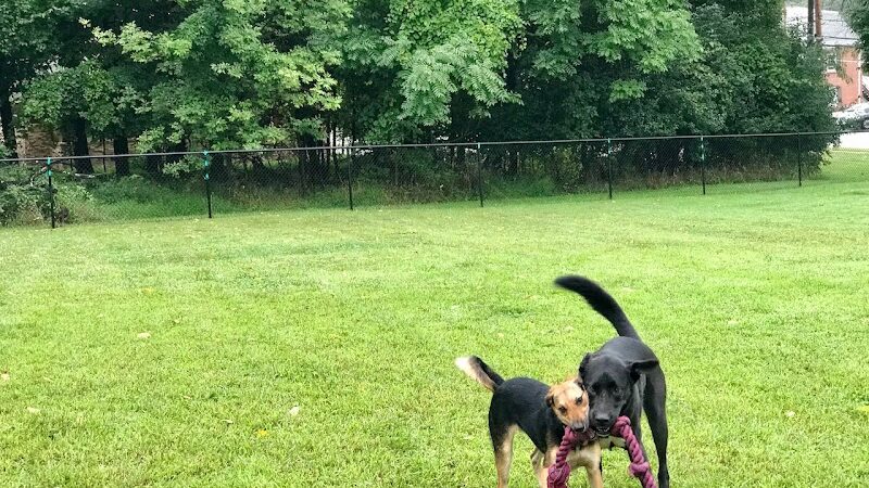 Friends of Beacon Dog Park - Beacon, NY