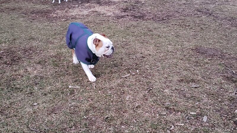 Friends of Beacon Dog Park - Beacon, NY