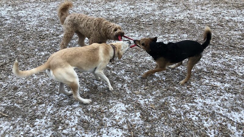 Friends of Beacon Dog Park - Beacon, NY
