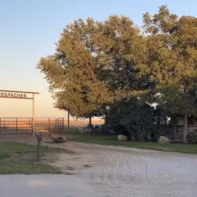 Triple E Equine - Beaver Crossing, NE