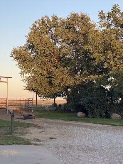 Triple E Equine - Beaver Crossing, NE