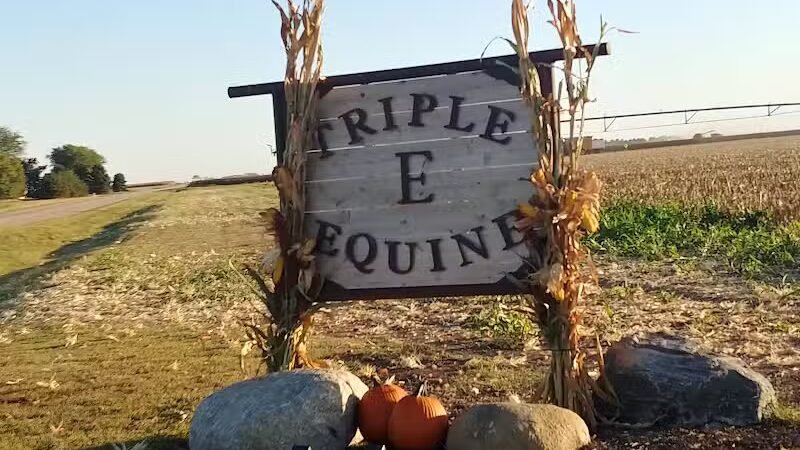 Triple E Equine - Beaver Crossing, NE