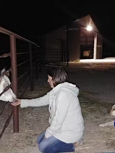 Triple E Equine - Beaver Crossing, NE