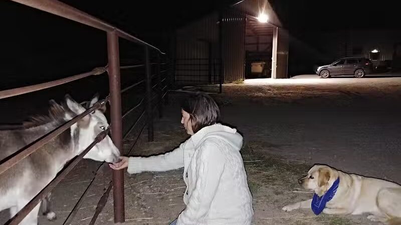 Triple E Equine - Beaver Crossing, NE