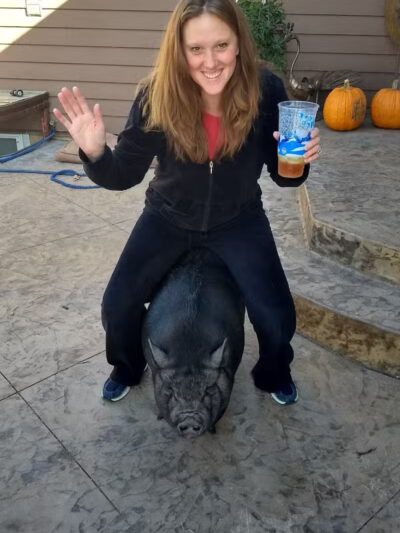 Triple E Equine - Beaver Crossing, NE