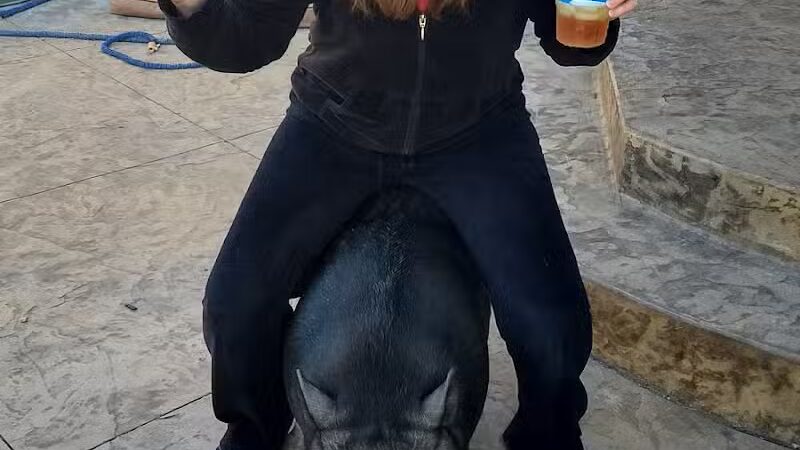 Triple E Equine - Beaver Crossing, NE