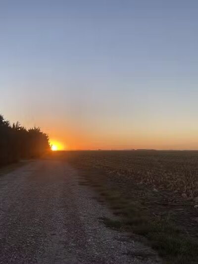 Triple E Equine - Beaver Crossing, NE