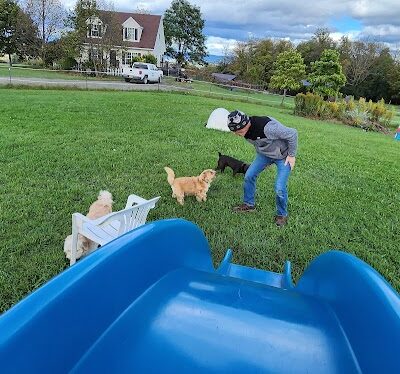 Finger Lakes Dog Park - Beaver Dams, NY