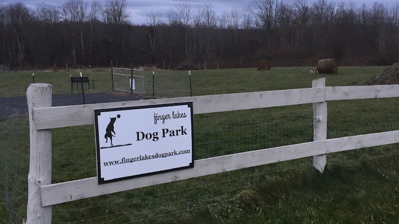 Finger Lakes Dog Park - Beaver Dams, NY