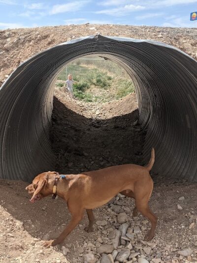 Beaver Dog Park - Beaver, UT