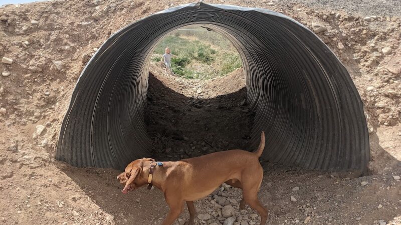 Beaver Dog Park - Beaver, UT