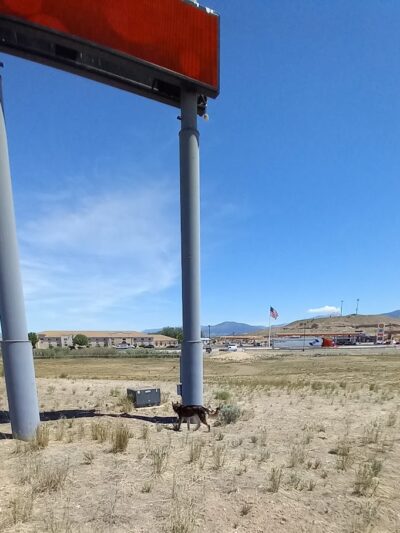 Beaver Dog Park - Beaver, UT