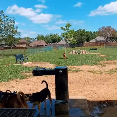 Bedford Bark Park - Bedford, TX