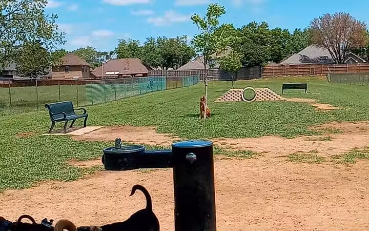 Bedford Bark Park - Bedford, TX