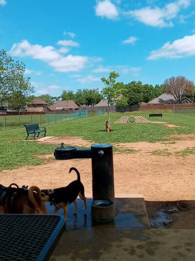 Bedford Bark Park - Bedford, TX