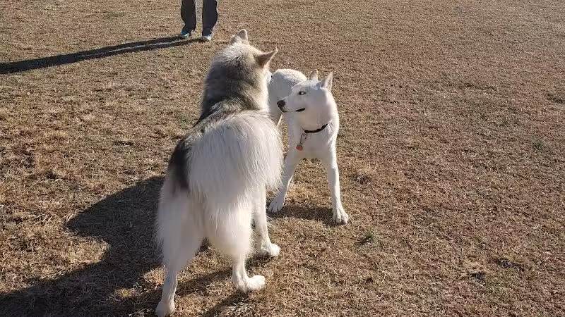 Bedford Bark Park - Bedford, TX